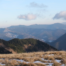 2016