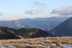 2016